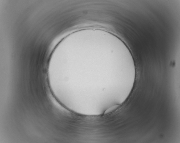 X0000111671531200908281059