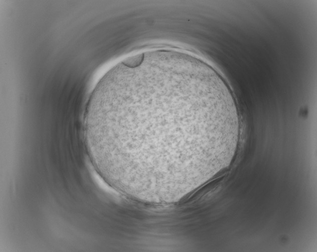 X0000111671535200908281059