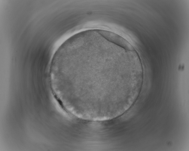 X0000111671536200908281059