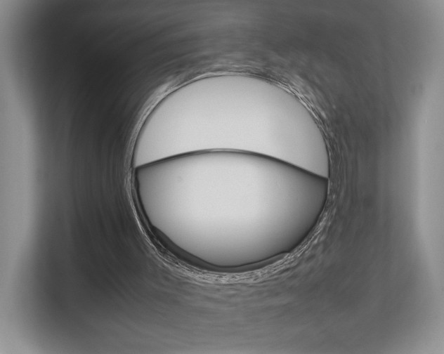 X0000111680003200907171514