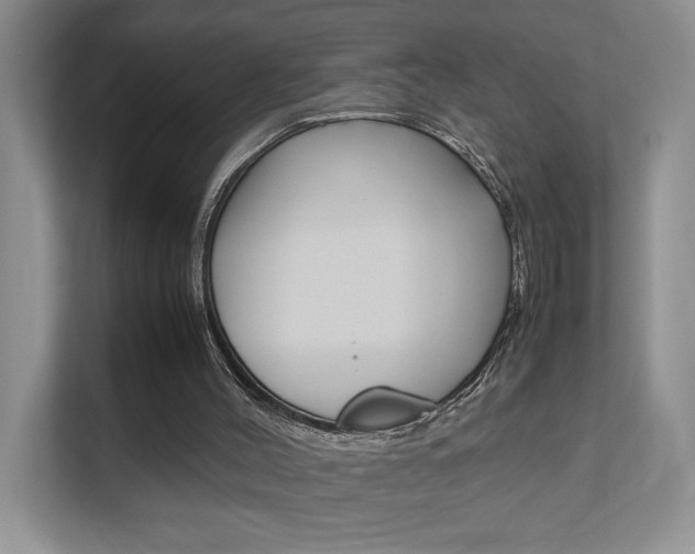 X0000111680004200907171514