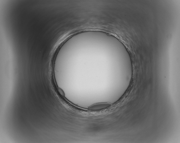 X0000111680005200907171514