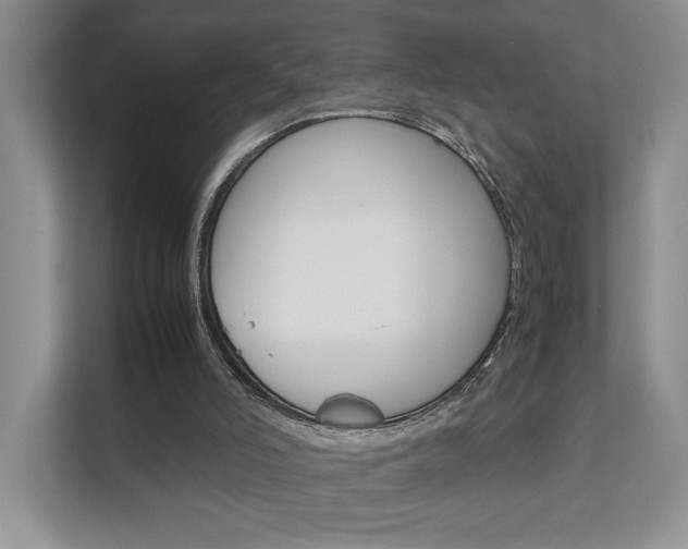 X0000111680006200907171514