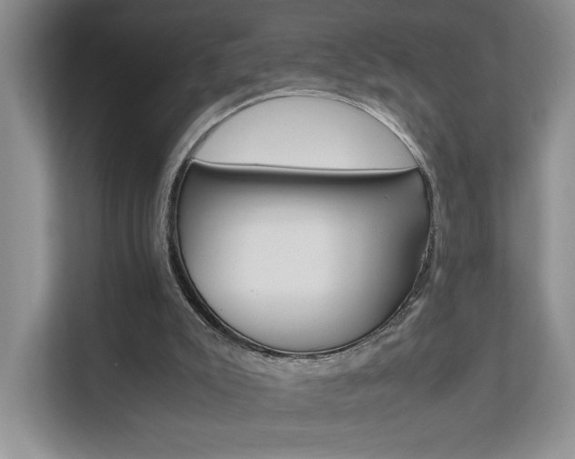 X0000111680007200907171514