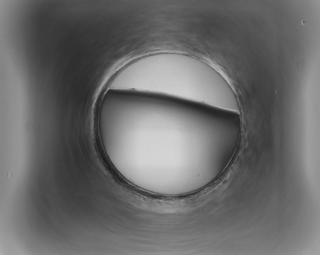 X0000111680008200907171514