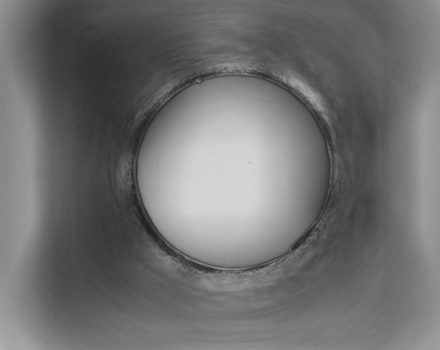 X0000111680009200907171514