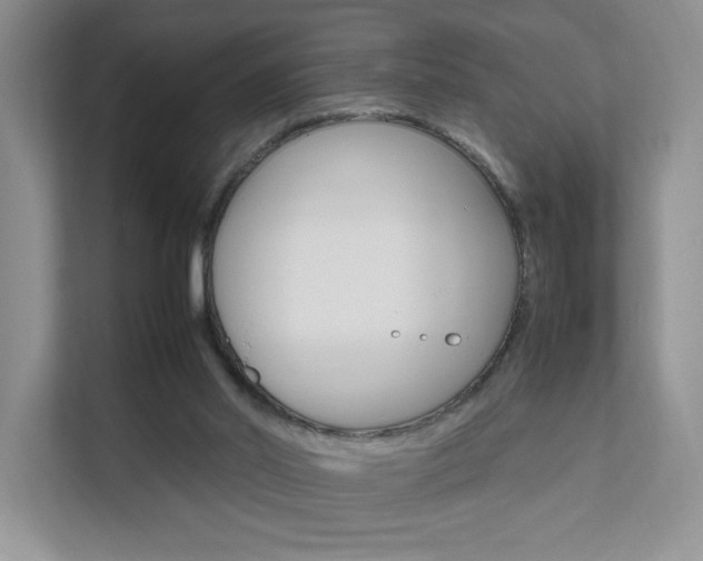 X0000111680014200907171513