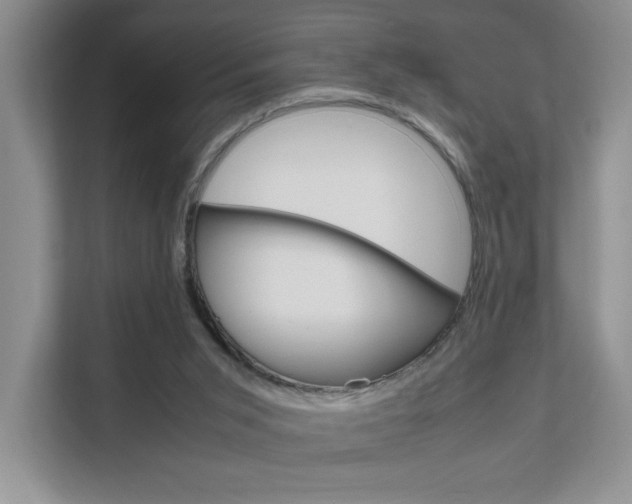 X0000111680015200907171513