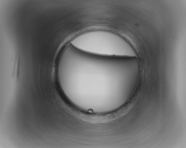 X0000111680016200907171513
