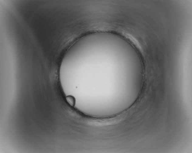 X0000111680017200907171513