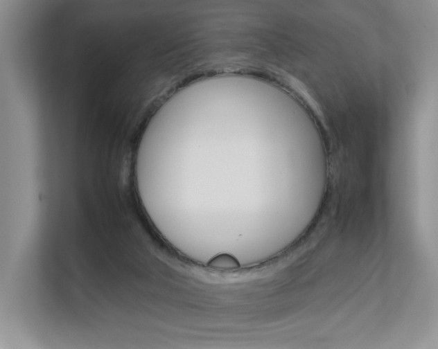 X0000111680018200907171513