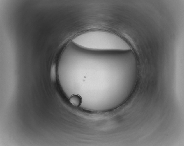 X0000111680020200907171513