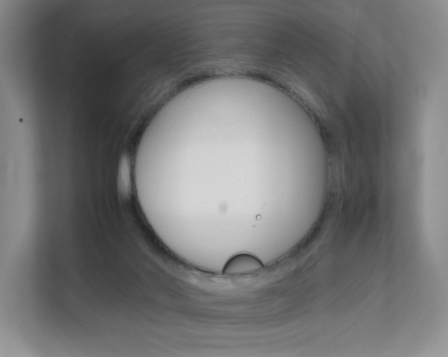 X0000111680022200907171513
