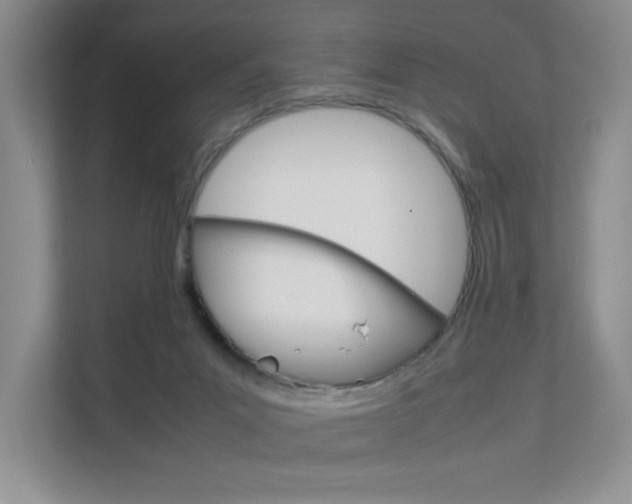 X0000111680023200907171513