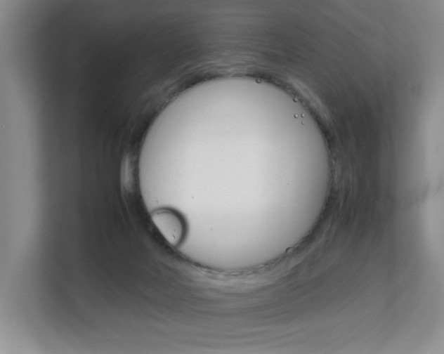 X0000111680026200907171513