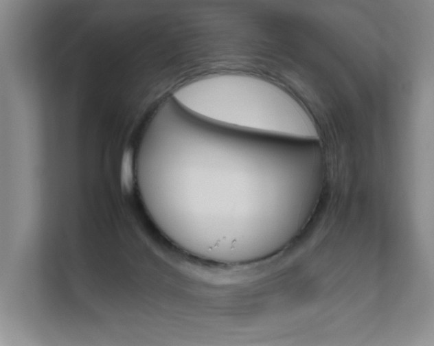 X0000111680028200907171513