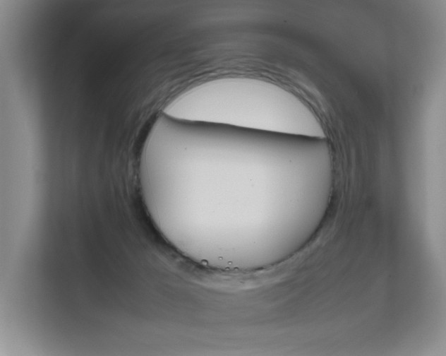 X0000111680029200907171513