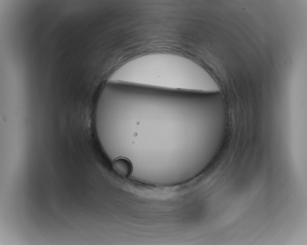 X0000111680032200907171513