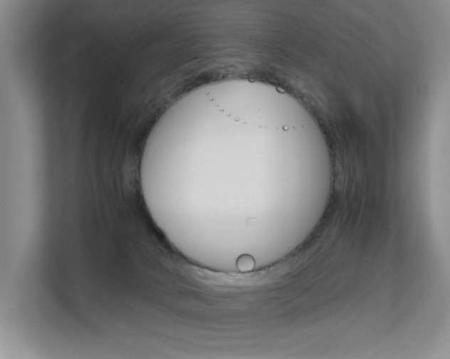 X0000111680034200907171513