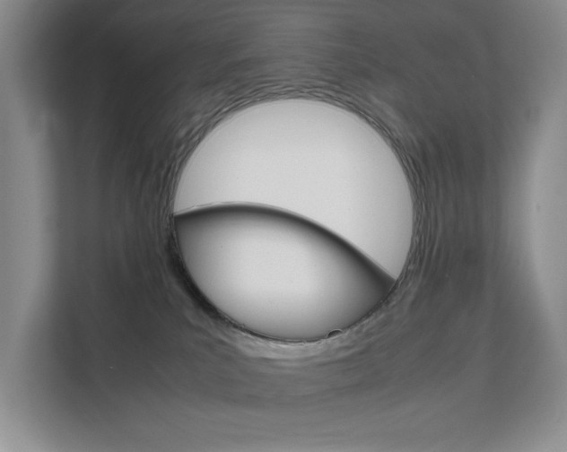 X0000111680039200907171513