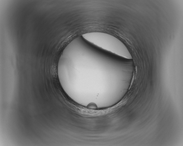 X0000111680048200907171513