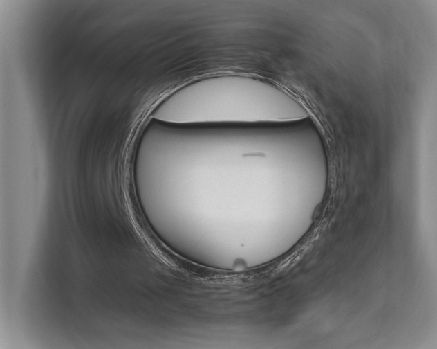 X0000111680049200907171512