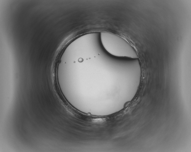 X0000111680053200907171512