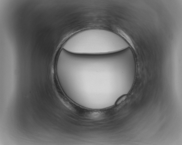 X0000111680059200907171513