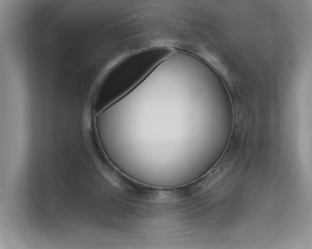 X0000111680060200907171513