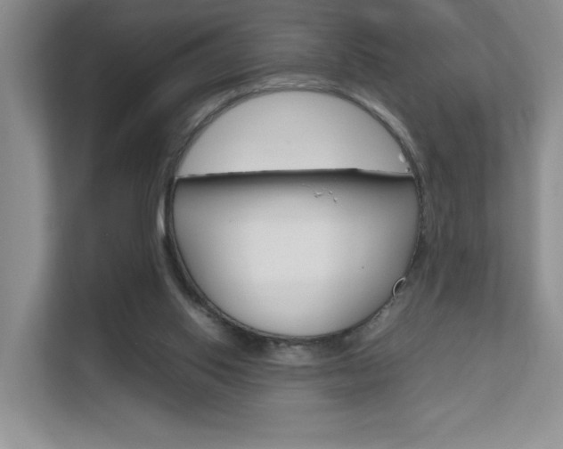 X0000111680062200907171513