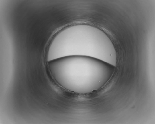 X0000111680064200907171513