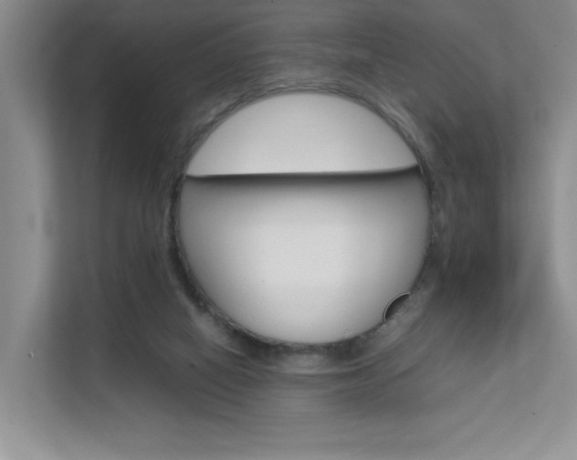 X0000111680066200907171513