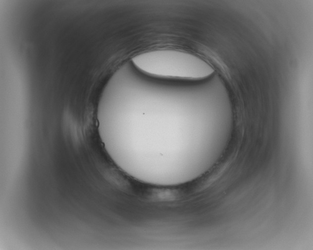 X0000111680073200907171513