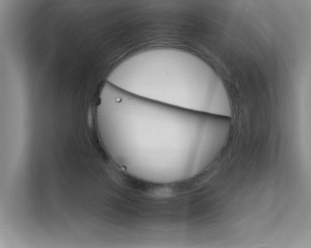 X0000111680075200907171513