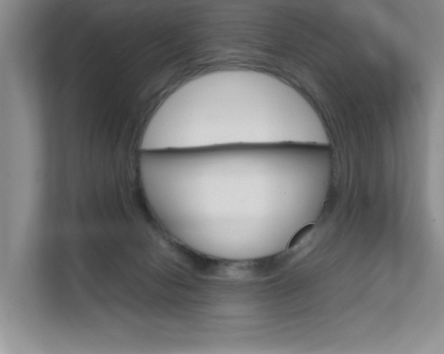 X0000111680078200907171513