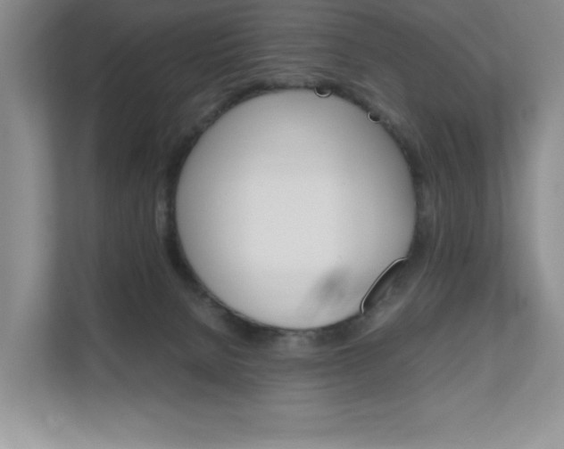 X0000111680080200907171513