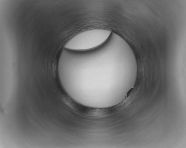 X0000111680082200907171513