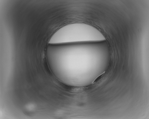 X0000111680084200907171513