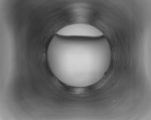 X0000111680085200907171513