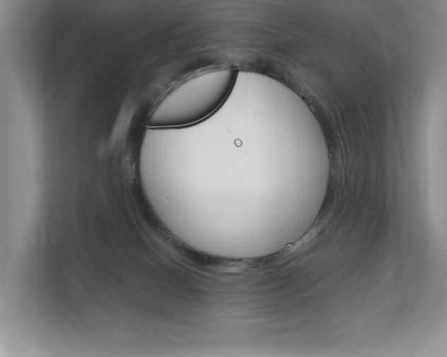 X0000111680086200907171513