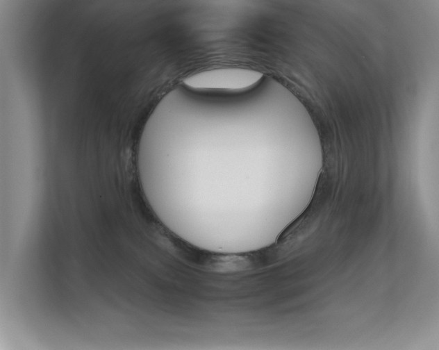 X0000111680087200907171513