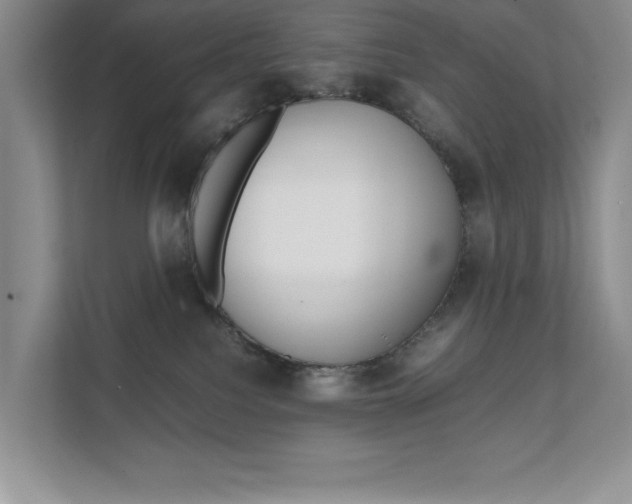 X0000111680088200907171513