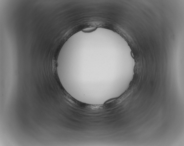X0000111680093200907171513