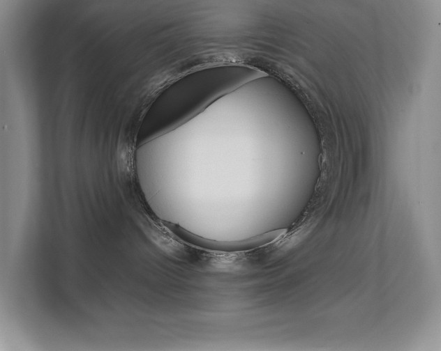X0000111680096200907171513