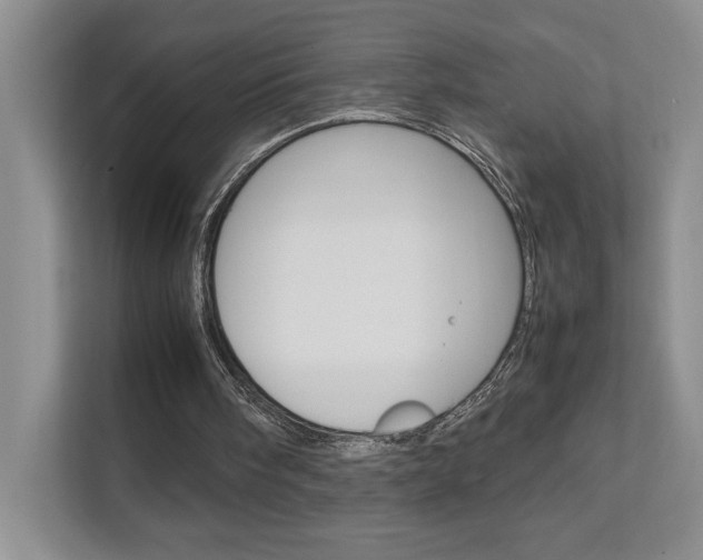 X0000111680098200907171512