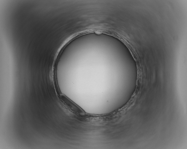 X0000111680100200907171512