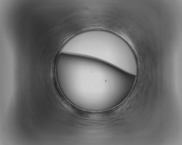 X0000111680105200907171512