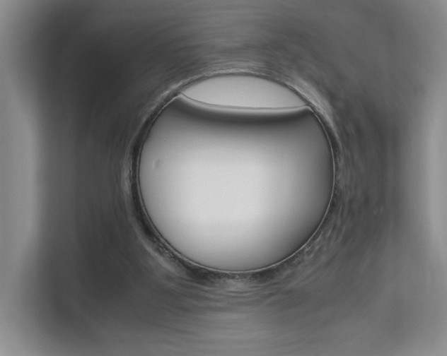 X0000111680107200907171512