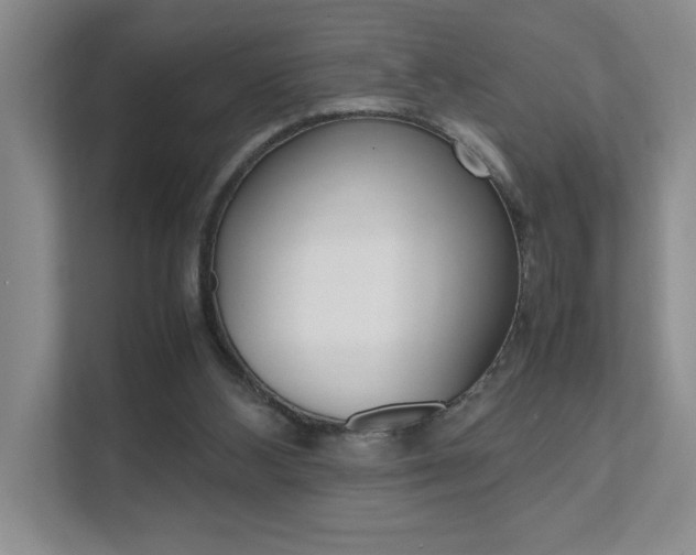 X0000111680108200907171512