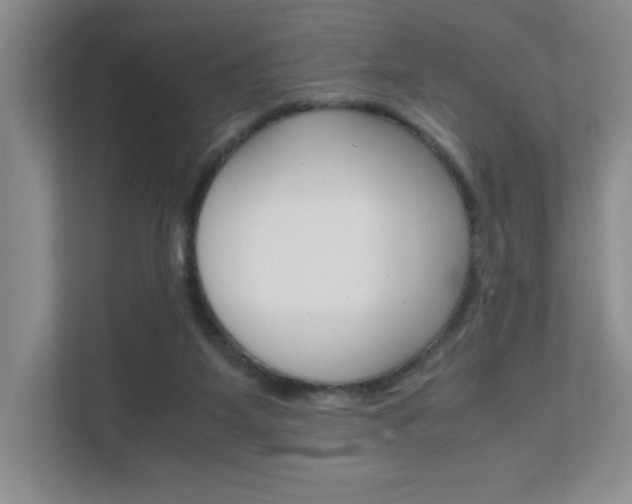 X0000111680115200907171512
